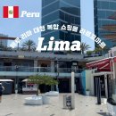 바다로마트(복합) | [페루] 리마 대형 복합 쇼핑몰 라르꼬마르 (Larcomar) 볼거리 기념품 맛집 추천 TGI Fridays 런치 후기