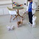 세븐일레븐 광양마동점 이미지