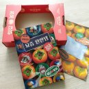 이로운마케팅 | [리뷰] 마케팅 책 추천! 제철영감 요즘 완판템 - 가장 트렌디한 인사이트를 한 곳에 모으다
