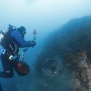 서귀포도립해양공원 이미지