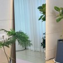 필라테스진 - 포항시 북구 새천년대로 1123 | 필라테스진