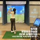 쉐르빌 스크린골프존 | 정자동 분당골프연습장 GDR 미켈란가든 - 4시간 주차 무료, 초고급 골프장 솔직 후기