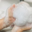 휘겔리 스위트 이미지