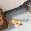 다도해힐링펜션 이미지