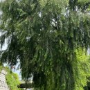 하천박물관서측3가 | 서울 종로 가볼만한곳 청계천 관광지 종로3가 전태일 기념관 전시회