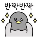새솔미트 - 성주군 | 새솔미트