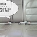 영일카프라자 이미지