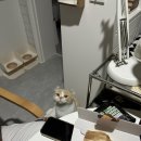 비비큐(BBQ)군산미장점 이미지