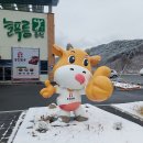 늘푸름홍천한우프라자 이미지