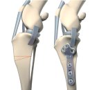 분당데이지동물병원 이미지