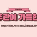 밀키블루스 네이버블로그