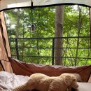 풍경힐링 | 가평 숲속 풍경으로 힐링 가득한 블루문 캠핑장 후기 및 사이트별 사진