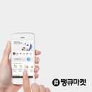 팜코브 이미지