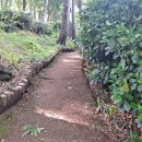 구덕산책로 숲길 이미지