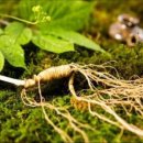 삼청농장 이미지