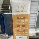 해피데이즈 | 낯가림 있는 강아지도 잘 적응했어요｜지숑이 해피데이즈 강아지 유치원 하루 후기