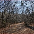 숲 바다 이미지