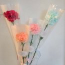 라피오레 이미지