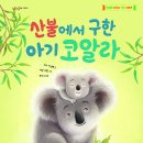 [별숲] 생명을 지키는 기후 그림책 ﻿《산불에서 구한 아기 코알라》 이미지