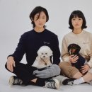 브랜드도그