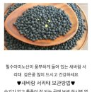 건강한 웰빙 밥상만들기 | [상주 서리태 추천] 갓 수확한 햇콩! 시골집농원 ‘새바람 서리태’로 맛있는 콩자반 만들기