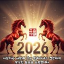 New year 2026 Rose parade live from pasadena! 이미지