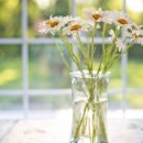 영재오 운동지능센터 이미지