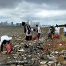인천습지학교네트워크, 송도갯벌 람사르습지 탐사 이미지