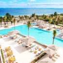 팜 아틀리에 이미지