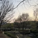 국립극장 [연극 그의 어머니 | 배우 김선영 님 ] 공연 후기. 셔틀/매점/R석 C열 시야