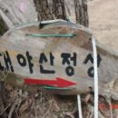 늘티 이미지