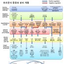 호르몬 알면 회춘 비법 보인다 -호르몬의 종류와 역할, 관련 질병 이미지