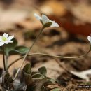 동백남자경로당 이미지