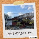 세모난나무 | [용인] 세모난나무 펜션 후기