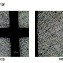 클린오투