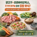블루펫스토어 | "강아지 수제화식 처음 시작하는 분들께 — 유치원·펫택시까지 되는 블루펫 소개"