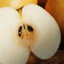 과일청년 이미지