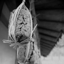 지리산청산별곡 이미지