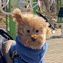 선바우 집 이미지