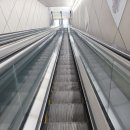 강서365한방병원 | 억수같은 비 속에 찾은 강서365한방병원