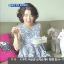 펫 게스트하우스 이미지