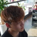 선학 미용실 - 147270 | 선학 미용실