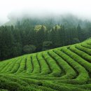 보성행정사사무소 이미지