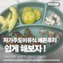 만랩파트너스 | 자기주도이유식 5개월 해본 후기, 쉽게해보자! (보관방법,선택이유,주의사항)