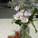 오티메디 이미지