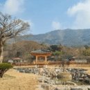 고산정원 이미지