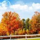 울산시청 이미지