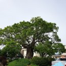 청하면사무소 이미지