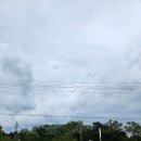 코코농원 | [여주 능서농원 고구마 카페]고구마라떼 추천! 이색 데이트 가볼만한곳