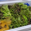 금수농장 이미지